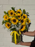 Sunflower Heaven